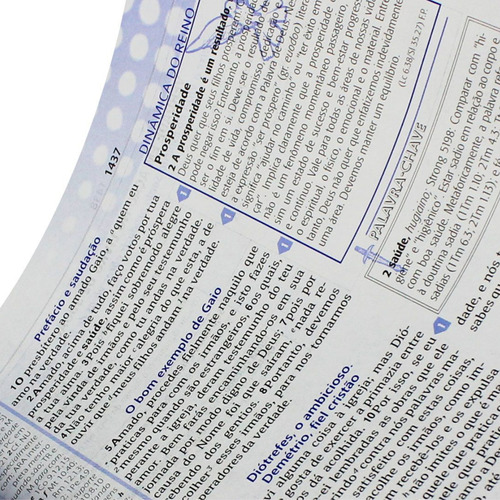 Bíblia De Estudo Plenitude Ra Cp Couro Sintético Cinza/preta