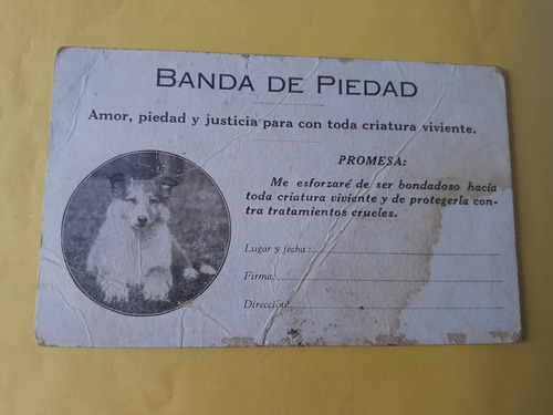 Antigua Banda De Piedad Mascotas Años 1920 (a40