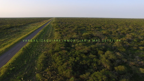 Imagen 4 de 10 de Campo Ganadero Sobre Ruta 6 Ganadero 79 Ha Monte Entre Rios