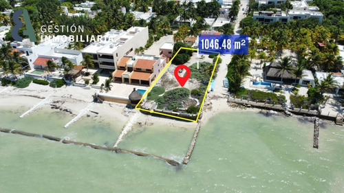 Terreno En Venta En Progreso, Yucatan. Mtv315.