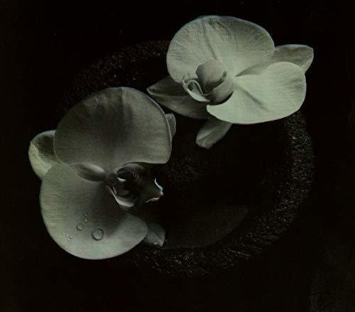 Cd Corpse Flower - Mike Patton / Jean-claude Vannier