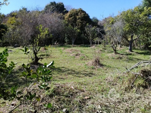 Vendo Ótimo Terreno De 1775,85 M² Para Formar Chácara No Champirra Em Jundiaí. Ótima Topografia E Localização. - Ch00088 - 34216124