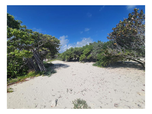 Imagen 9 de 9 de Terreno En Venta En Isla Blanca