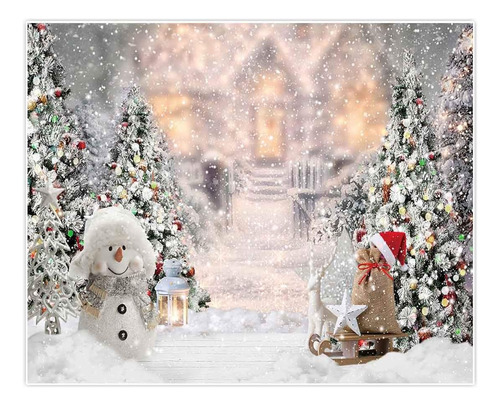 Fondo Fotográfico Allenjoy, Diseño Navidad Nevada, 305x244cm