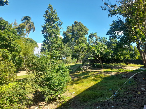 Finca Disponible, Casa Principal, Local Comercial, Casa De Capataz Y Gran Terreno Sembrado De Plátanos, Yuca, Naranjas Y Otros (jpc-232)