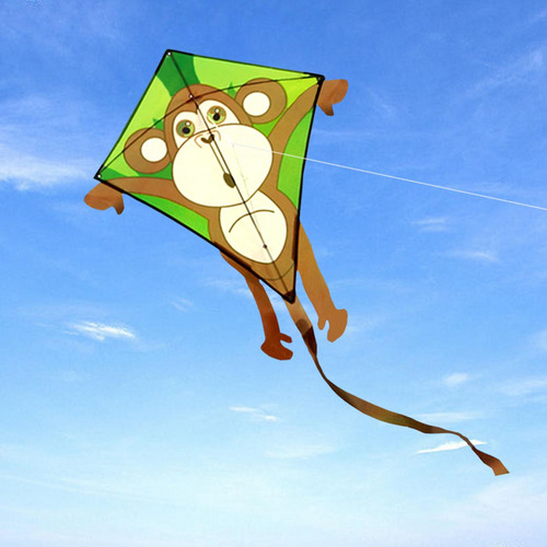 Kite Para Niños Y Adultos Increíbles Cometas De Pájaros
