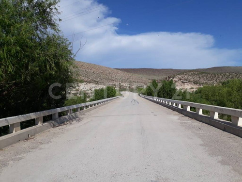 Rancho En Venta En Coyame Chihuahua