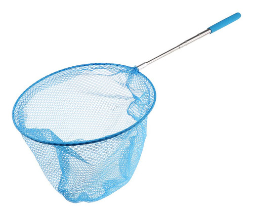 / 2 Rede Líquida Do Inseto Da Borboleta Azul Como Descrito