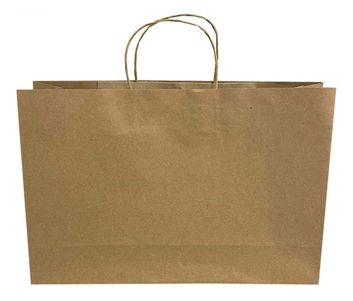 Sacola De Papel Grande Sapatos 35x27x10cm Com Alça 10un