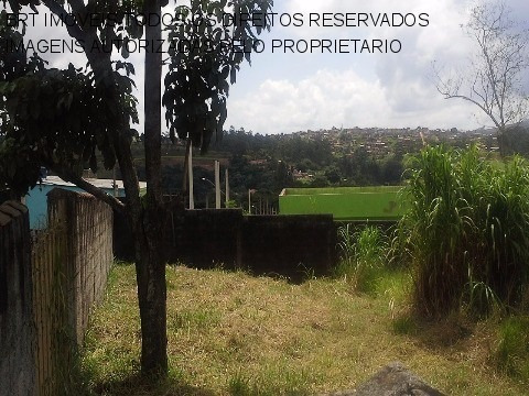 Imagem 11 de 17 de Terreno - Te00049 - 3058071