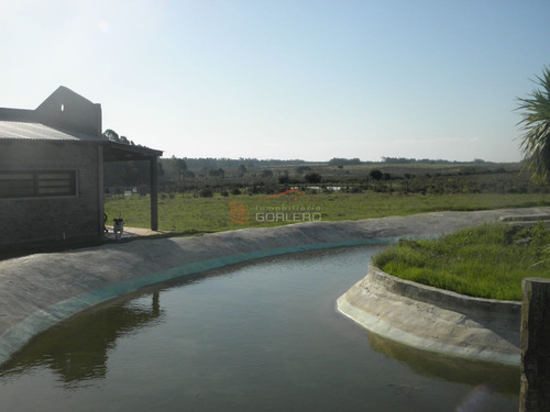 Imagen 6 de 12 de Chacra A La Venta En Uruguay, Interbalnearia Canelones, A 2 Km Del Mar