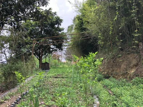 Mini Finca Club De Campo