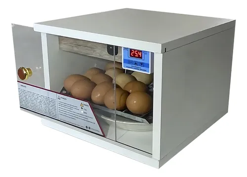 Incubadora Automática Digital De 30 Huevos Y 220 Voltios
