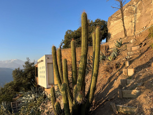 Casa En Cerro Con Increíbles Vistas