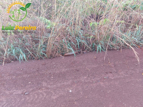 Imagem 10 de 12 de Fazenda À Venda Em Abreulândia - 696,96 Hectares (dupla Aptidão) - 2023