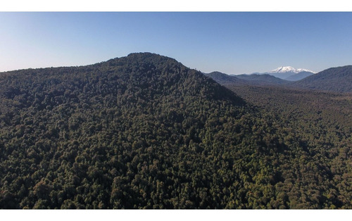 Imagen 9 de 15 de Venta Sitios/ Carretera Austral Km 30/patagonia Chilena