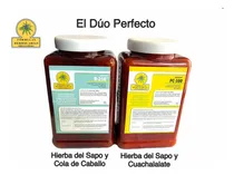 Comprar Hierba Del Sapo R250\u002Fpc300 - Herbolaria Erick Estrada