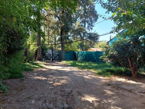 Imagen 3 de 8 de Lote Tipo Quinta Con Mejoras En Paso Del Rey Barrio Zapiola