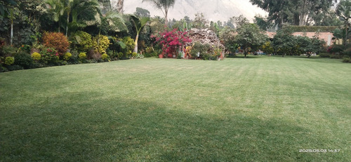 Palmeras De Condorhuaca Eventos Full Day 3000mts2.