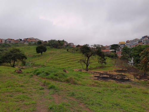 Imagem 15 de 19 de Terreno À Venda, Jardim Maria Cecília - Ferraz De Vasconcelos/sp - 2071
