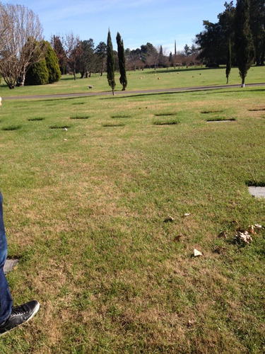 Imagen 5 de 7 de Parcela En Cementerio Parque Memorial