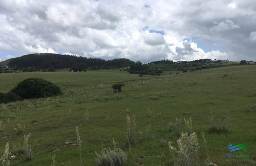 Imagen 5 de 10 de Chacra Idilica, 5 Has Con Cañada, Monte Nativo Y Vistas A Las Sierras ! - Pueblo Eden Pueblo Eden