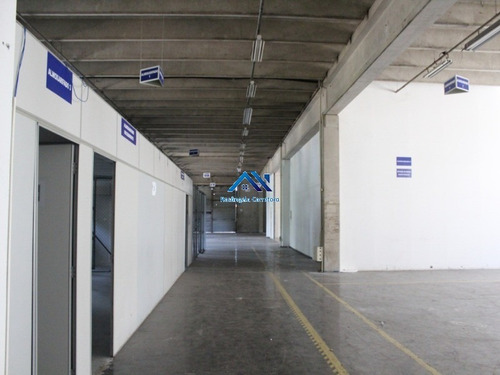Imagem 7 de 12 de Galpão - Gl00050 - 69427227