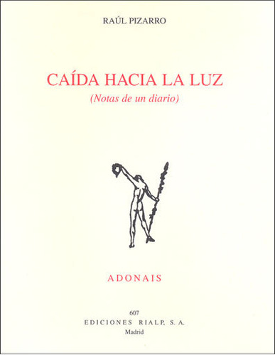 Libro Caã­da Hacia La Luz (notas De Un Diario)