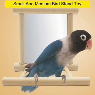 I Bird Toys Espejo Masticar Parque Infantil Cacatúas Birds H 