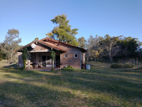 Imagen 4 de 7 de Campo En Venta 3,5 Has En Punta Indio