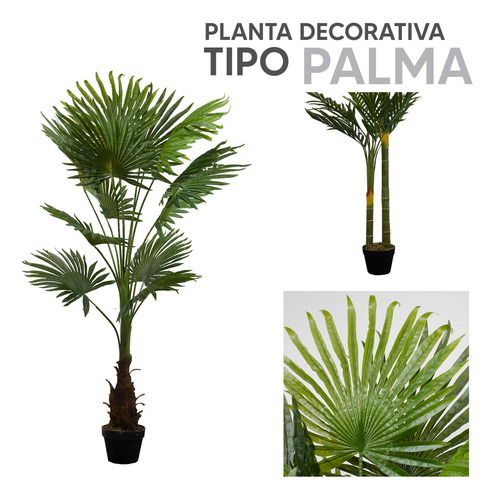 Kit 2 Plantas Artificiales Tipo Palmito 150cm Recepcion