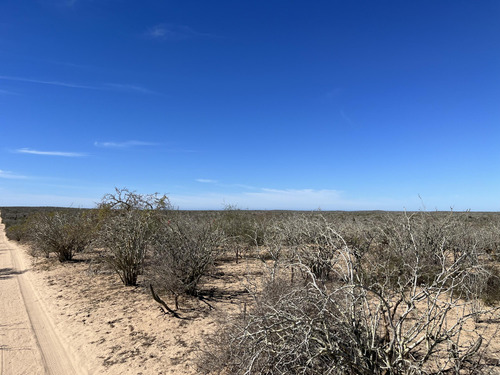 Km 43, El Mezquite De Don Dominguez