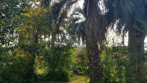 Imagen 7 de 20 de Casa En Venta En Maldonado, Punta Del Este