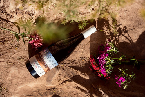 Vino Orgánico Altos Las Hormigas Organic Malbec Caja X6