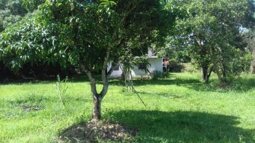 Chácara No Bairro São Fernando Em Itanhaém. | 5214-pc