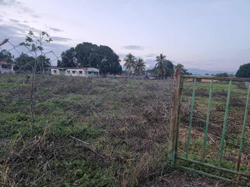 Imagen 6 de 15 de Terreno Sábana Del Medio