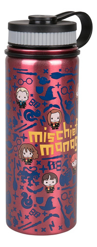 Harry Potter - Botella De Agua De Acero Inoxidable, 18.6 Fl