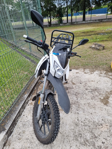 Workman 250 Cc 2025 Vento