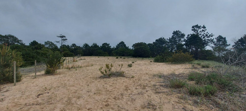 Terreno Muy Alto A La Venta En Punta Del Diablo