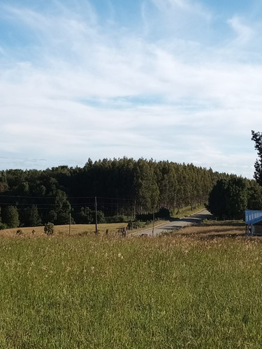 Parcela En Fresia, Llico, Sector Las Cuyas
