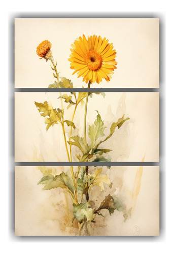 Tres Canvas Abstracción Botánicos Minimalistas 40x60cm