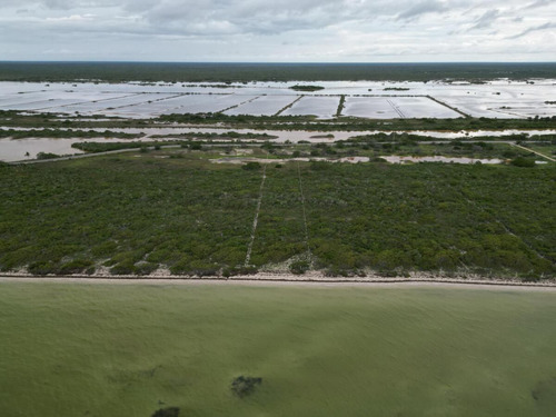 Terreno En Venta, Frente A Playa En San Crisanto, Yucatán