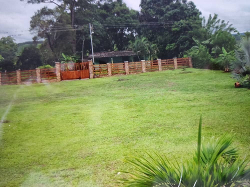 Imagen 3 de 10 de En Venta Hermosa Finca Via La Morita El Piñal