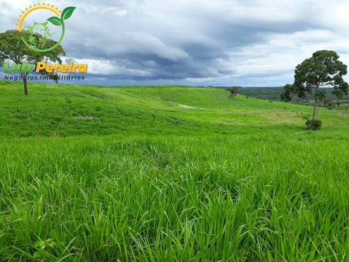Imagem 2 de 12 de Fazenda A Venda Em Santa Maria - 1.074,48 Hectares (dupla Aptidão) - 2085