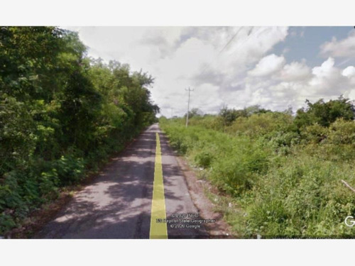Imagen 6 de 8 de Terreno En Venta San Antonio Tzacala