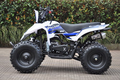 Imagen 2 de 10 de Mini Cuatriciclo 49cc Mini Max