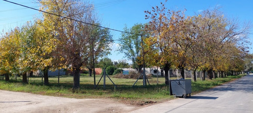 Imagen 1 de 6 de Venta Terreno B°elli