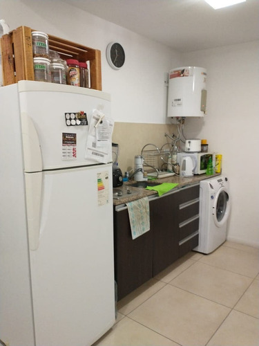 Bonito Departamento Monoambiente Divisible En Alquiler