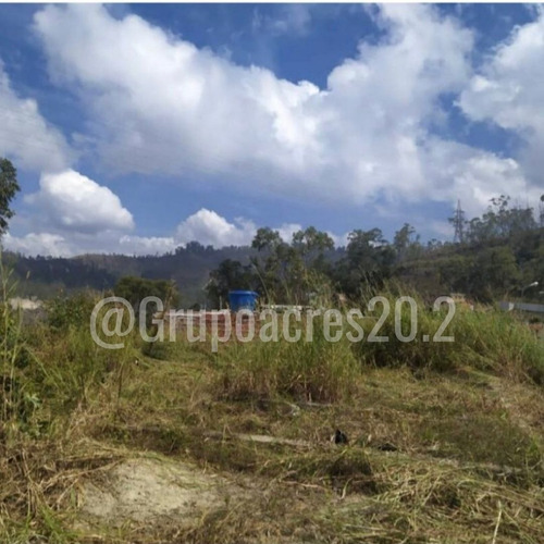 Imagen 3 de 4 de En Venta Terreno En Colinas De Carrizal. Af