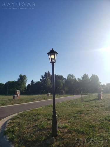 Imagen 4 de 8 de Venta | Gran Oportunidad! Lotes En Santa Elisa . Pilar Del Este | Bayugar Negocios Inmobiliarios